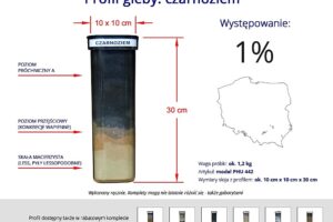 Profile 6 najpopularniejszych gleb w Polsce gleb
