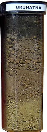 profile glebowe - gleba brunatna

